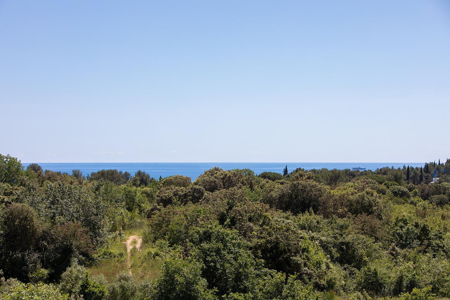 Villa Mareonda Rovinj Extérieur photo